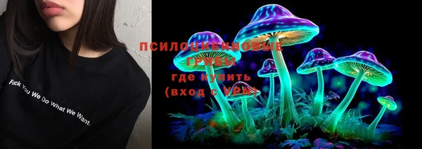 соль ск Балахна